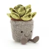 Best Knuffel Vetplant Silly Succulent Jade Colourful & Quirky|Food & Drink