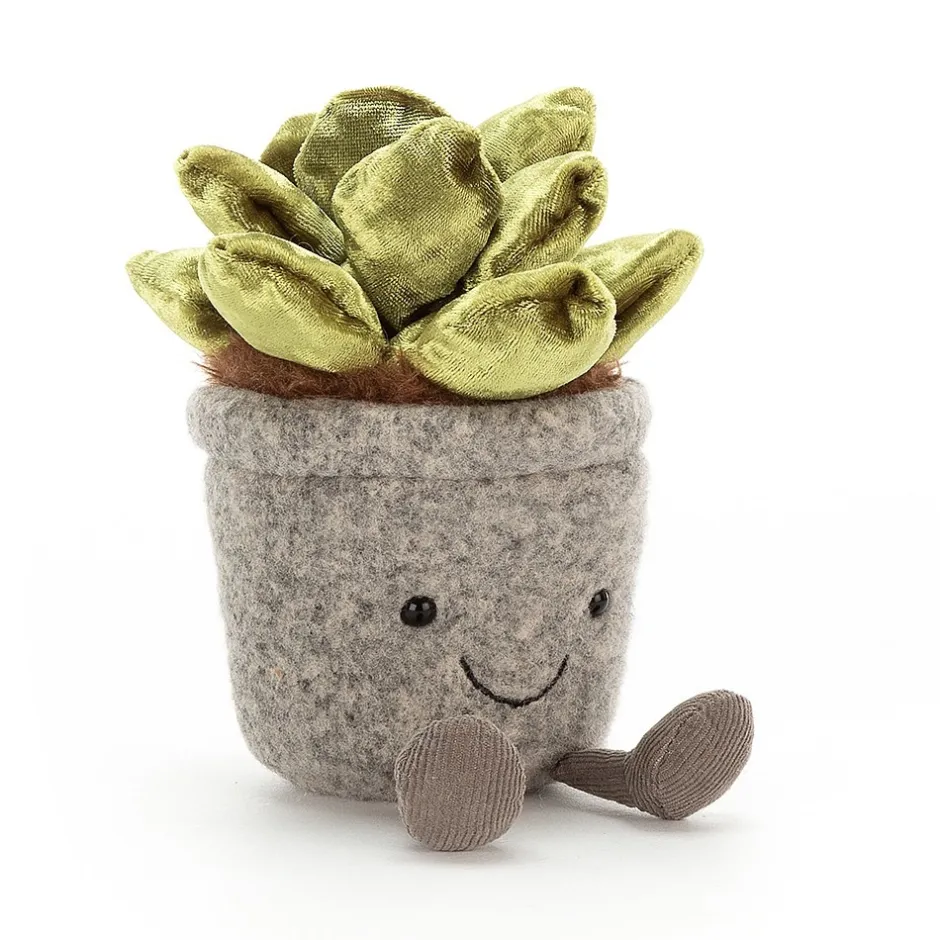 Best Knuffel Vetplant Silly Succulent Jade Colourful & Quirky|Food & Drink