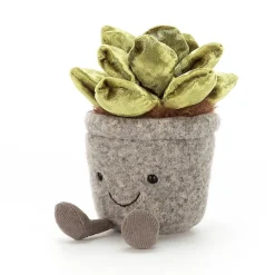 Best Knuffel Vetplant Silly Succulent Jade Colourful & Quirky|Food & Drink