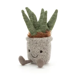 Best Knuffel Vetplant Silly Succulent Aloe Colourful & Quirky|Funky Florist
