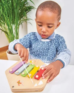 Online Xylofoon Activiteiten Paneel Muziek