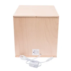 Discount Kubuslamp Joy Beuken Hout Lampen