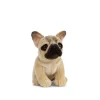 Best Knuffel Hond Franse Bulldog Zittend Living Nature|Bekijk Alles