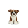 Online Knuffel Hond Boxer Zittend 20 cm Living Nature|Bekijk Alles