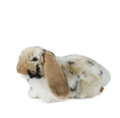 Outlet Knuffel Konijn Nederlandse Hangoor Dwerg Bruin Living Nature