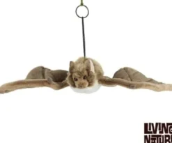 New Vleermuis Living Nature