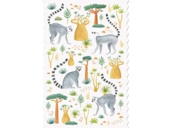 Hot Postcard - Lemurs Wenskaarten