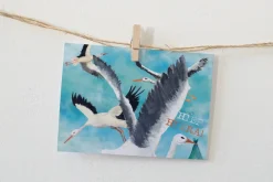Discount Ansichtkaart Hiep hiep hoera ooievaar Wenskaarten