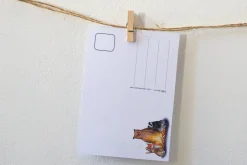 Online Ansichtkaart Kamperen Wenskaarten