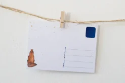 Hot Ansichtkaart Sterren Kijken Wenskaarten