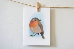 Ansichtkaart Roodborstje met bloemen Wenskaarten