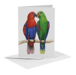 Outlet MiesToGo Wenskaart Edelpapegaai Duo Wenskaarten