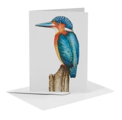 MiesToGo Wenskaart IJsvogel Wenskaarten