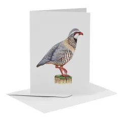 Online MiesToGo Wenskaart Rode Patrijs Wenskaarten