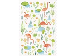 Sale Postcard - Flamingos Wenskaarten