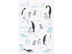 New Postcard - Penguins Wenskaarten
