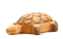 Outlet Schildpad Klein 2085 Reptielen