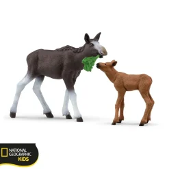 Online Elandkalf Wild Life