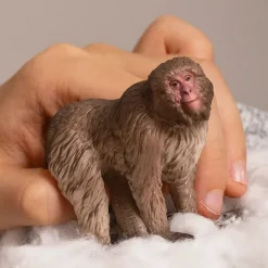 Best Japanse Makaak Wild Life