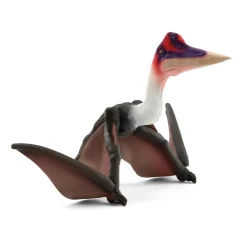 Sale Quetzalcoatlus Dinosaurs
