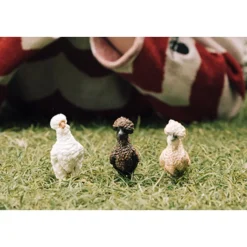 New Speelset Kippenvrienden Farm World