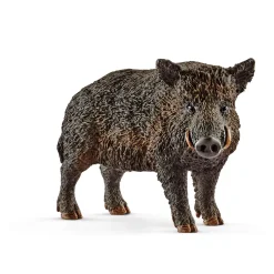 Sale Wild Zwijn 14783 Wild Life