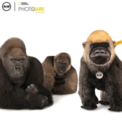 Clearance Knuffel Aap National Geograpghic Boogie Gorilla Steiff|Bekijk Alles