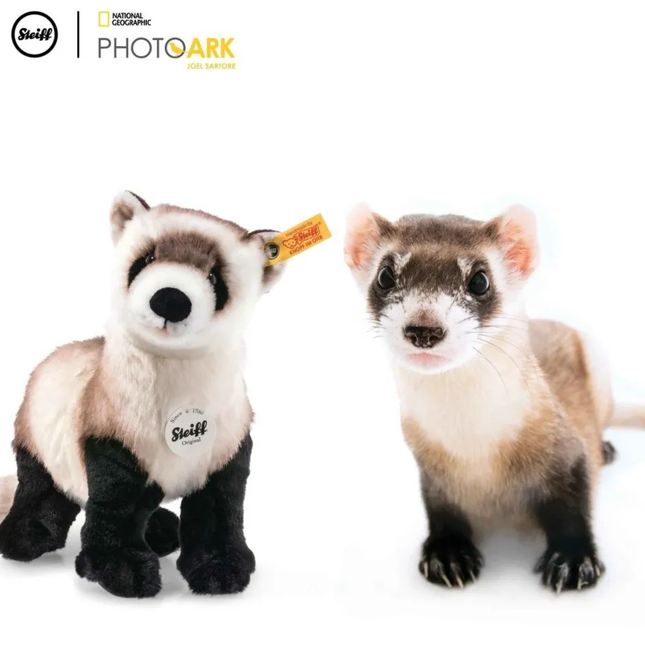 Hot Knuffel Fret Ferri National Geographic Steiff|Bekijk Alles