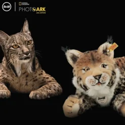 Online Knuffel Lynx National Geographic Mizzy 35 cm Steiff|Bekijk Alles