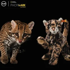 New Knuffel Pardelkat National Geographic Ozzi Ozelot Steiff|Bekijk Alles
