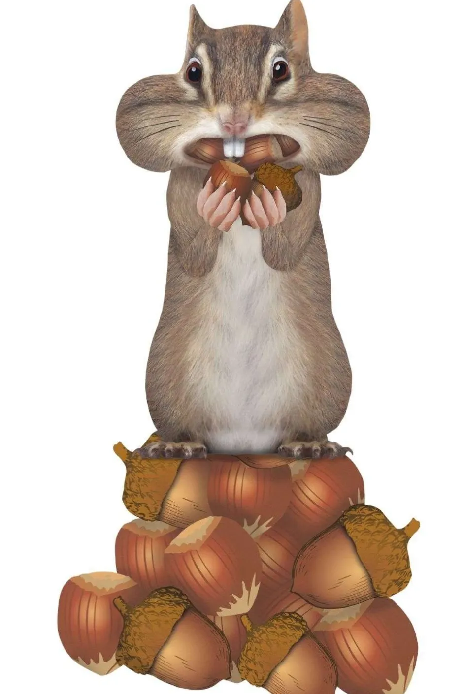 Muursticker Eekhoorn Decoratie