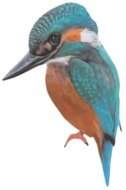 Muursticker Bella de IJsvogel Decoratie