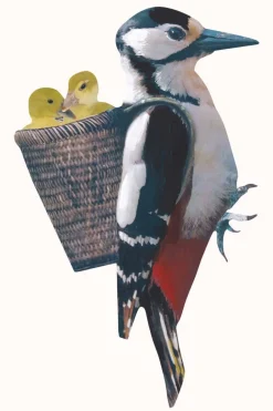 Discount Muursticker Specht Decoratie