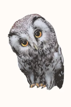 Sale Muursticker Oehoe de Uil Decoratie