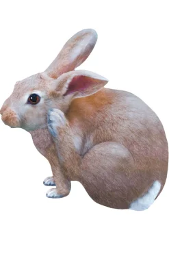 Clearance Muursticker Konijn Tipi Decoratie