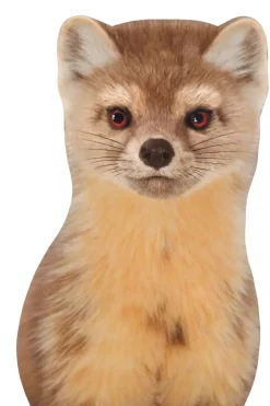 Online Muursticker Marter Decoratie