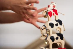 Koe 3 Staand Bruinvee Runderen|Koeien