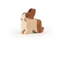 Best Konijn Hollander Bruin Boerderijdieren