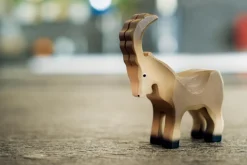 Sale Steenbok Klein Geiten|Bosdieren