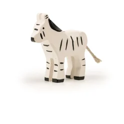 Zebra Klein Paardachtigen|Wilde Dieren