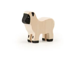 Outlet Zwartneusschaap Klein Schapen|Boerderijdieren