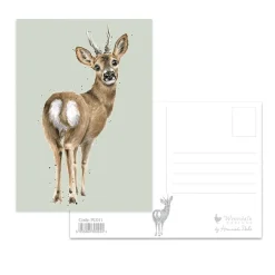 The Roe Deer Postcard - Deer Wenskaarten