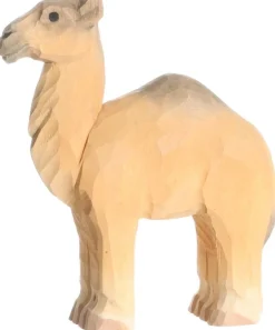 Clearance Dromedaris 40473 Wilde Dieren