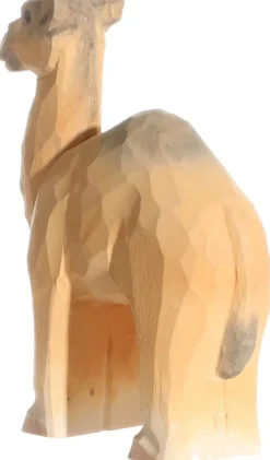 Clearance Dromedaris 40473 Wilde Dieren