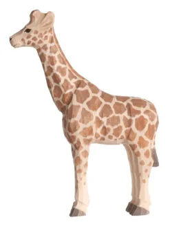 Sale Giraf 40454 Wilde Dieren|Giraffen