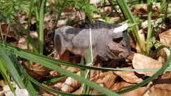 Sale Gnoe 40475 Antilopen