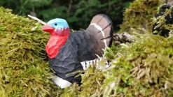 Outlet Kalkoen 41012 Vogels|Vogels