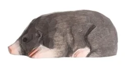 Discount Mol 40703 Bosdieren|Mollen