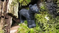 Best Panter 40470 Wilde Dieren|Katachtigen