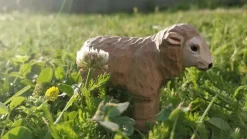 Online Schaap 40605 Boerderijdieren|Schapen